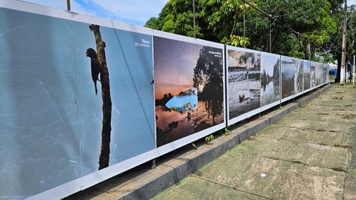 Concurso de Fotografia_004.jpg