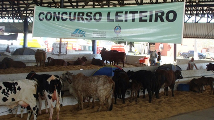 Expojipa_Concurso Leiteiro_Arquivo.jpg